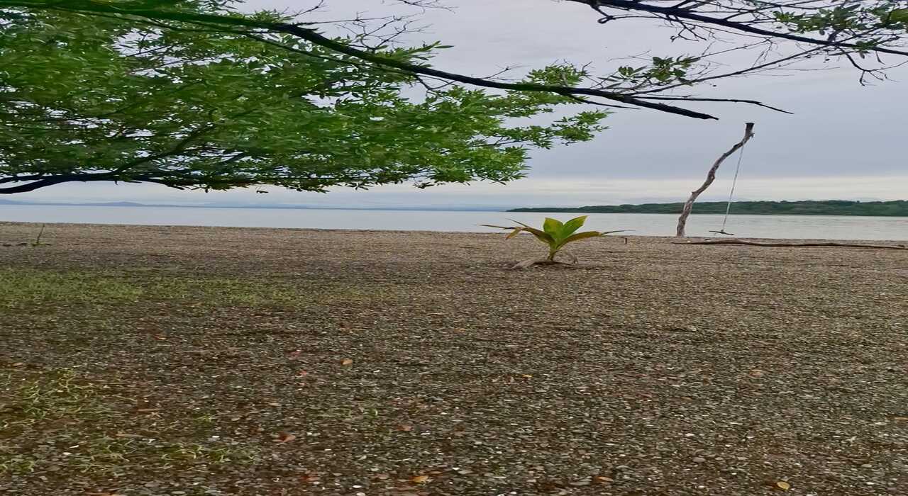 Pasarela Ecológica